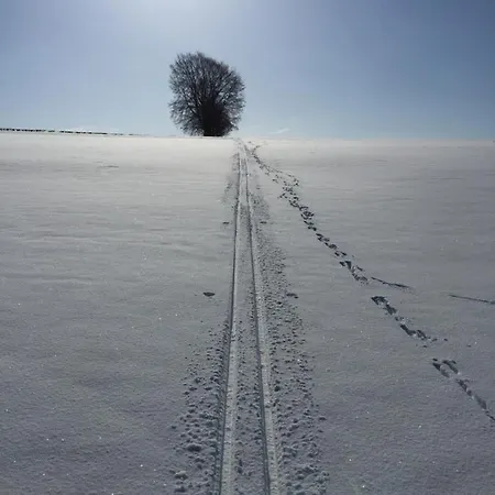 Angela, 3 Lejlighed Ovifat